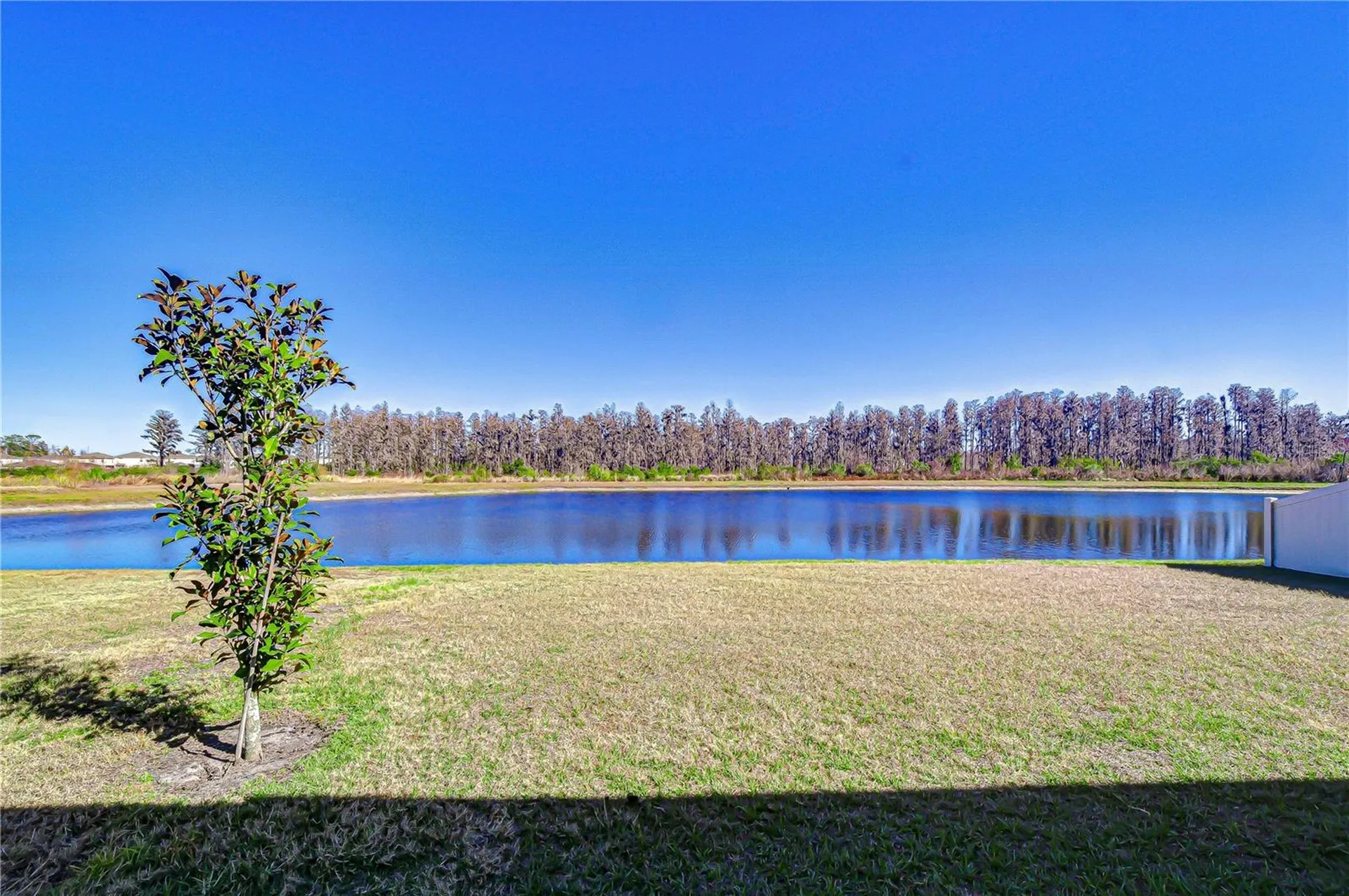 10422 Gliding Eagle Way Land O Lakes FL 34638