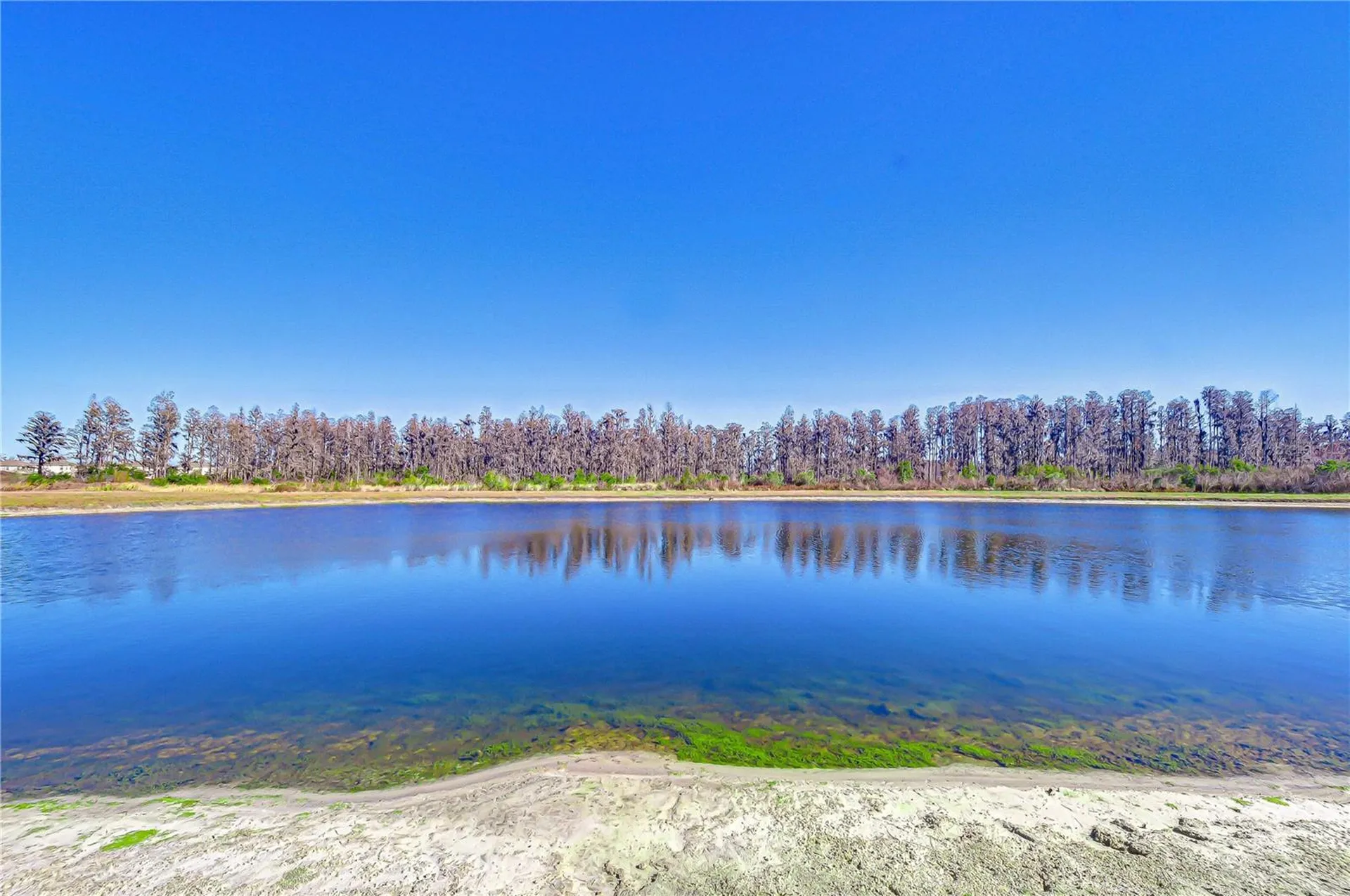 10422 Gliding Eagle Way Land O Lakes FL 34638