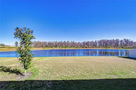 10422 Gliding Eagle Way Land O Lakes FL 34638