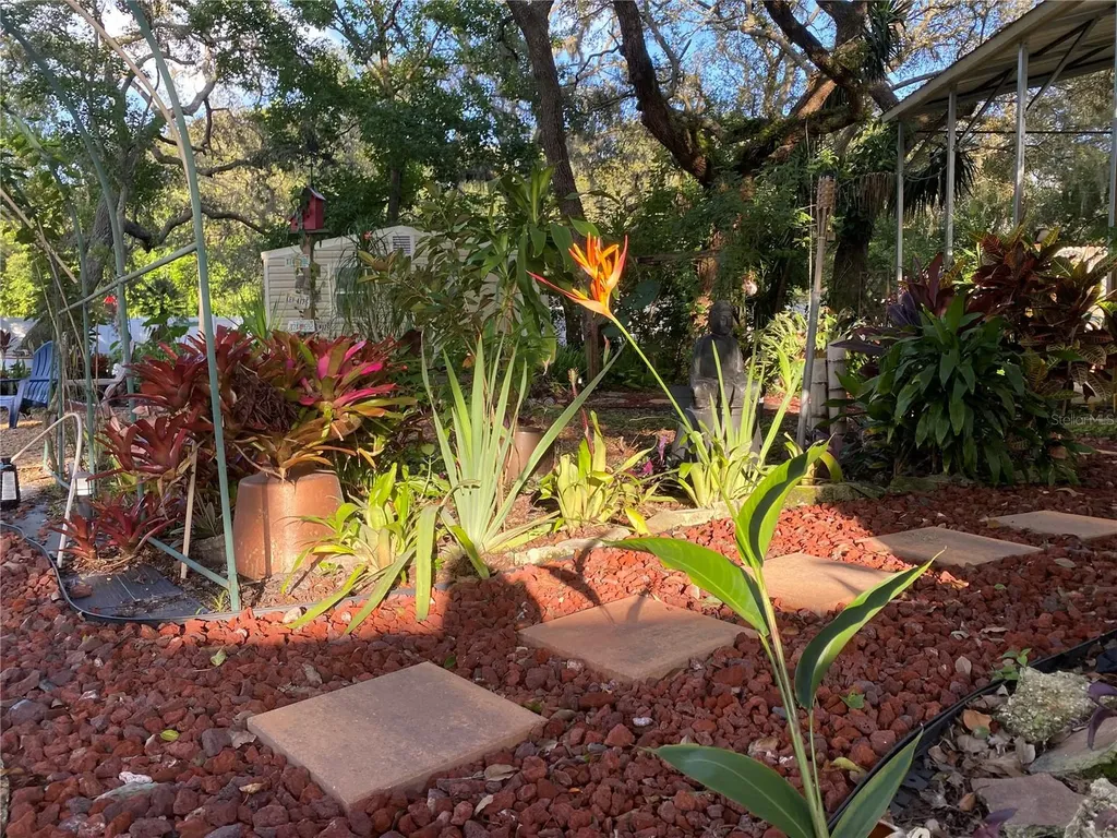 9846 Cardy Street New Port Richey FL 34654