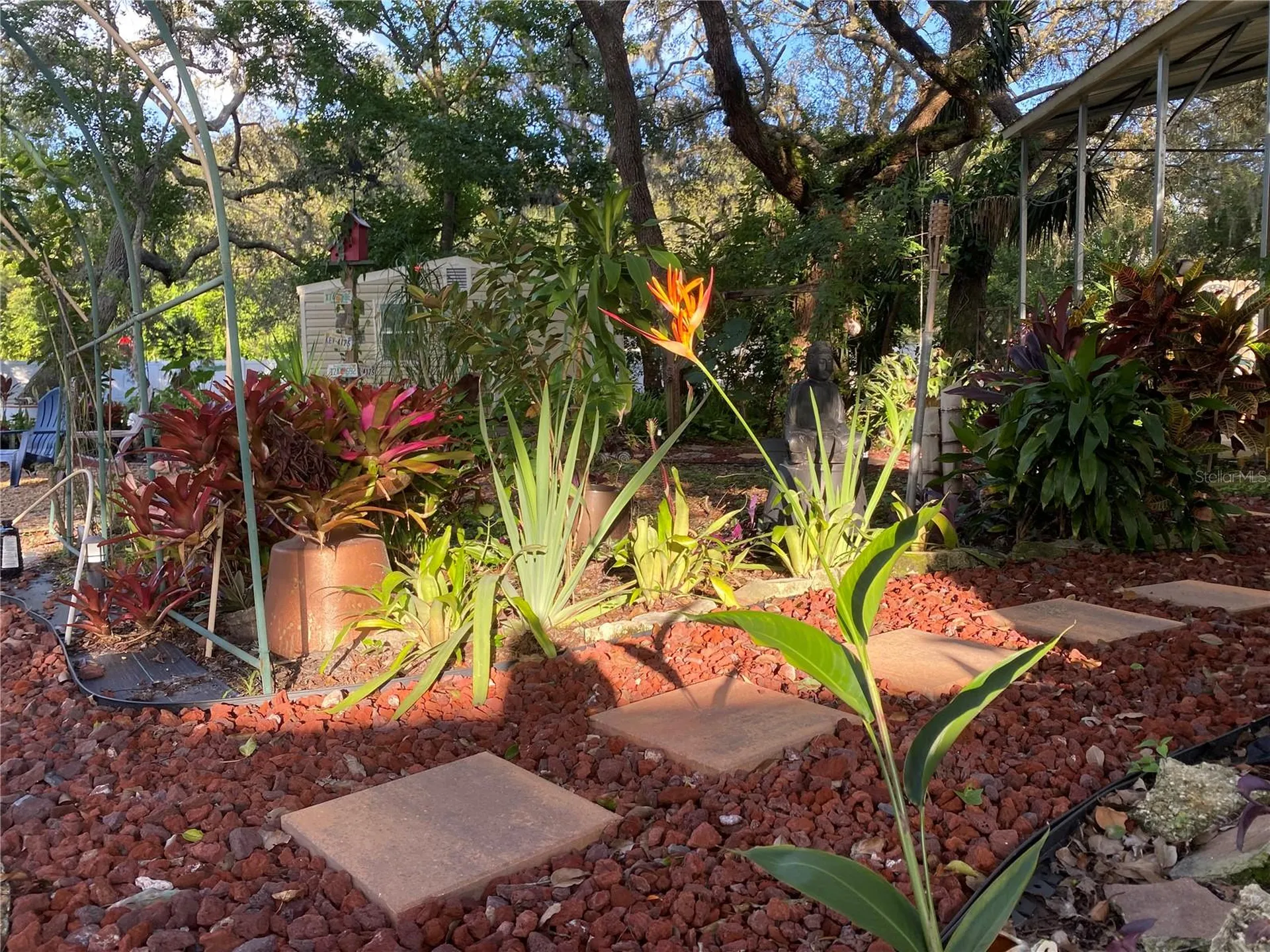 9846 Cardy Street New Port Richey FL 34654