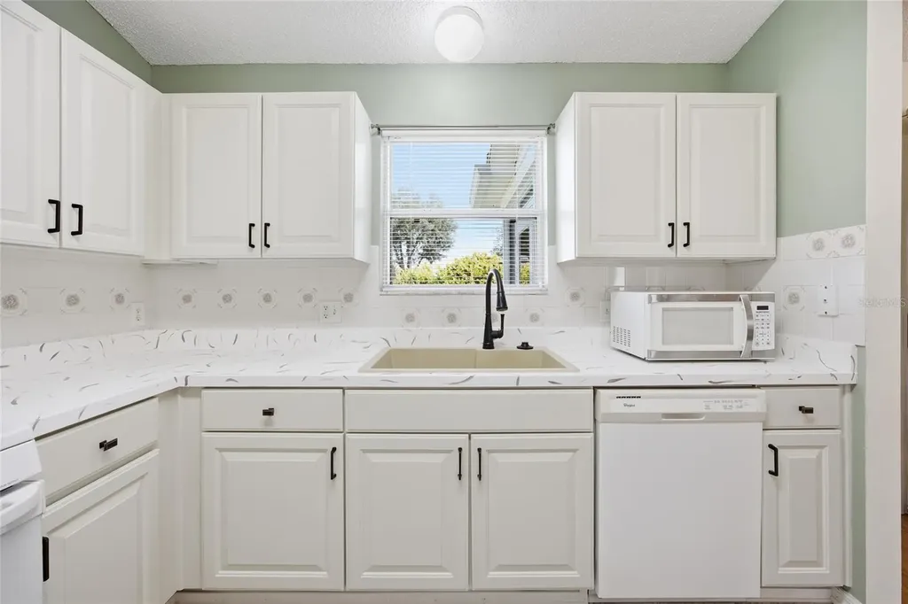 17705 SE 93rd Hawthorne Avenue The Villages FL 32162
