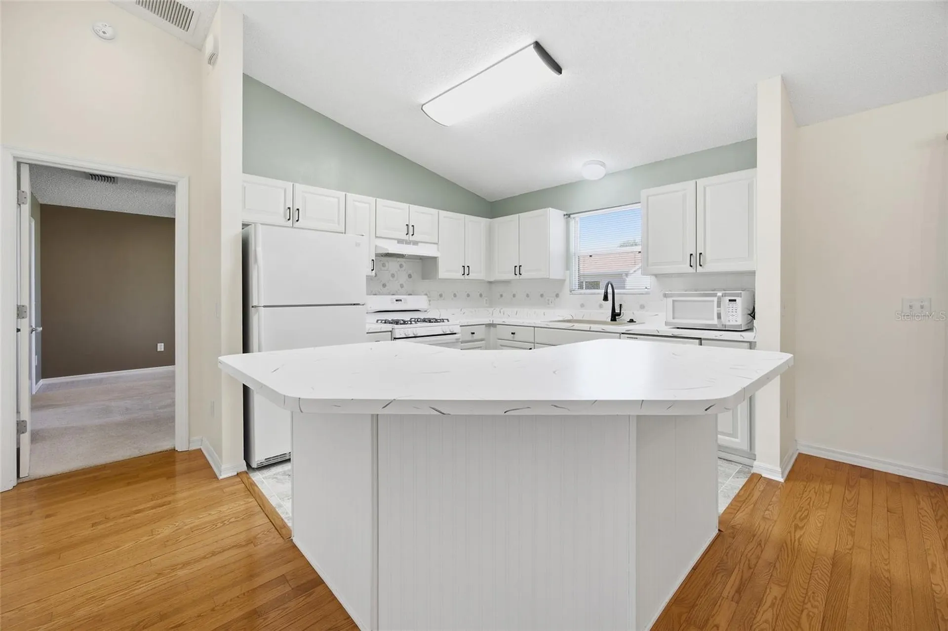 17705 SE 93rd Hawthorne Avenue The Villages FL 32162