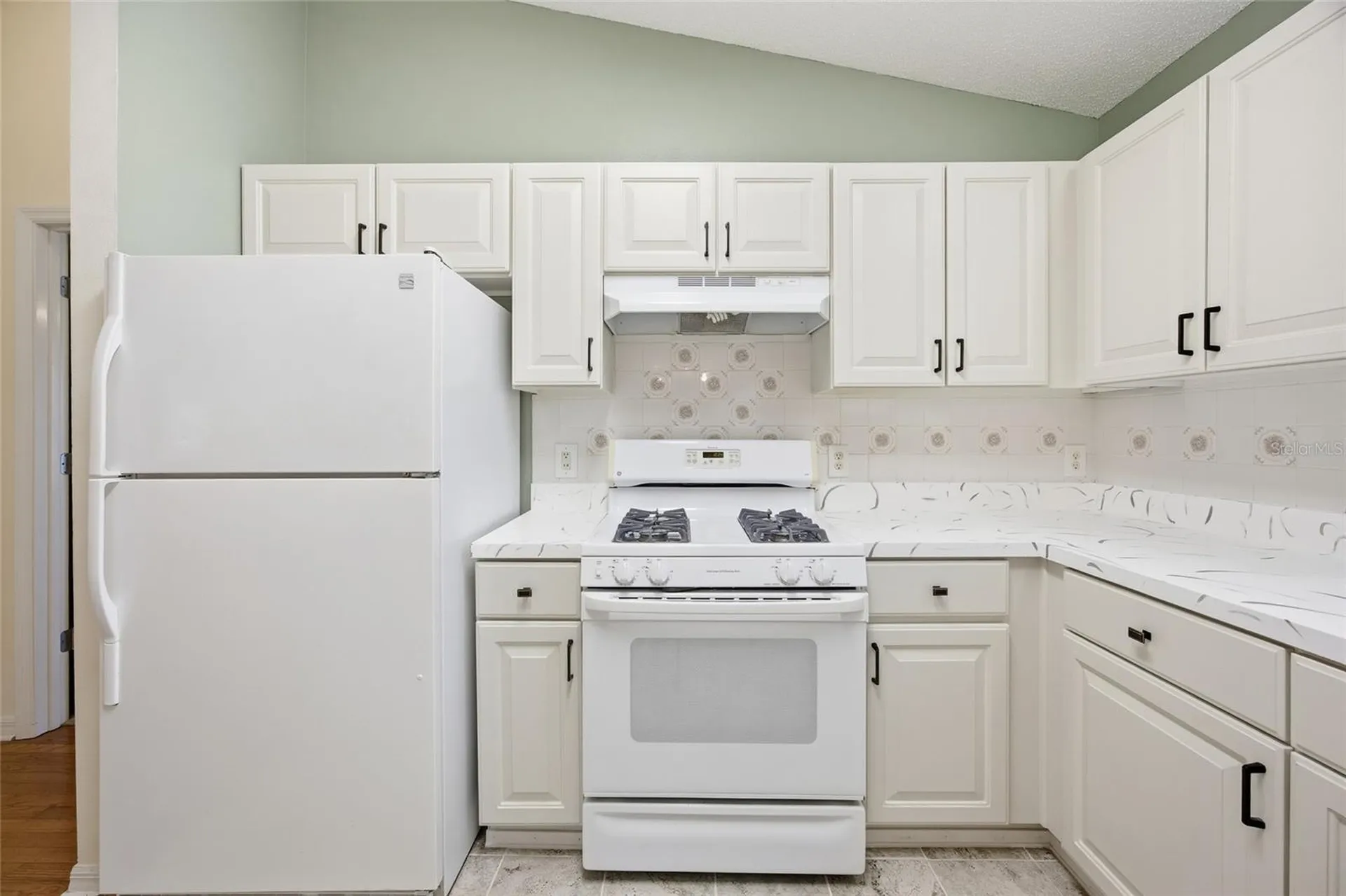 17705 SE 93rd Hawthorne Avenue The Villages FL 32162