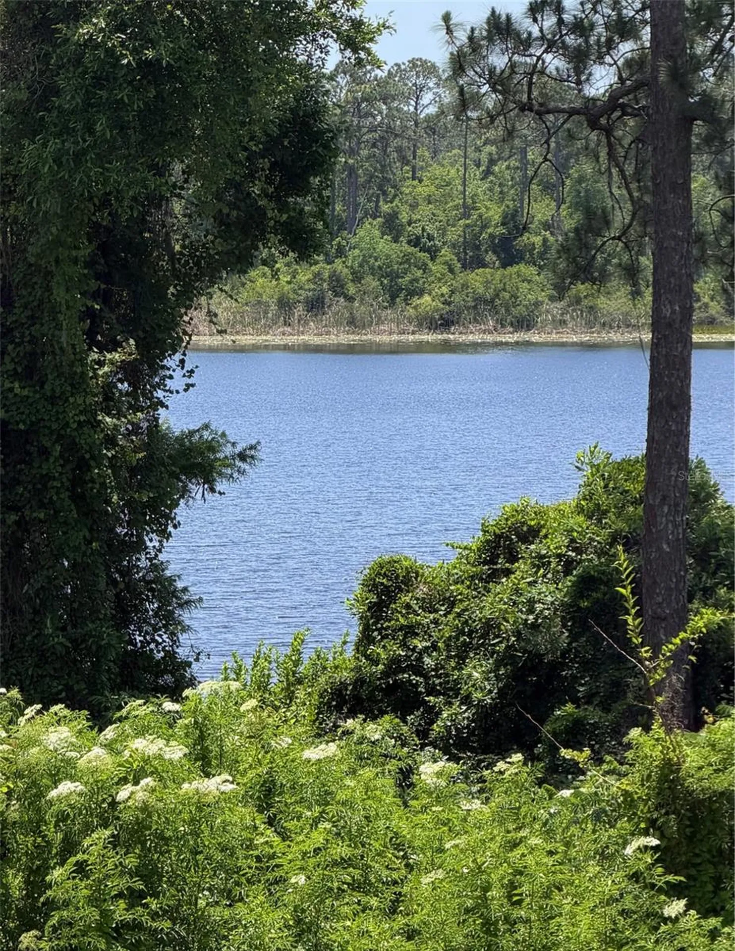 2550 N Alafaya Trail Orlando FL 32826