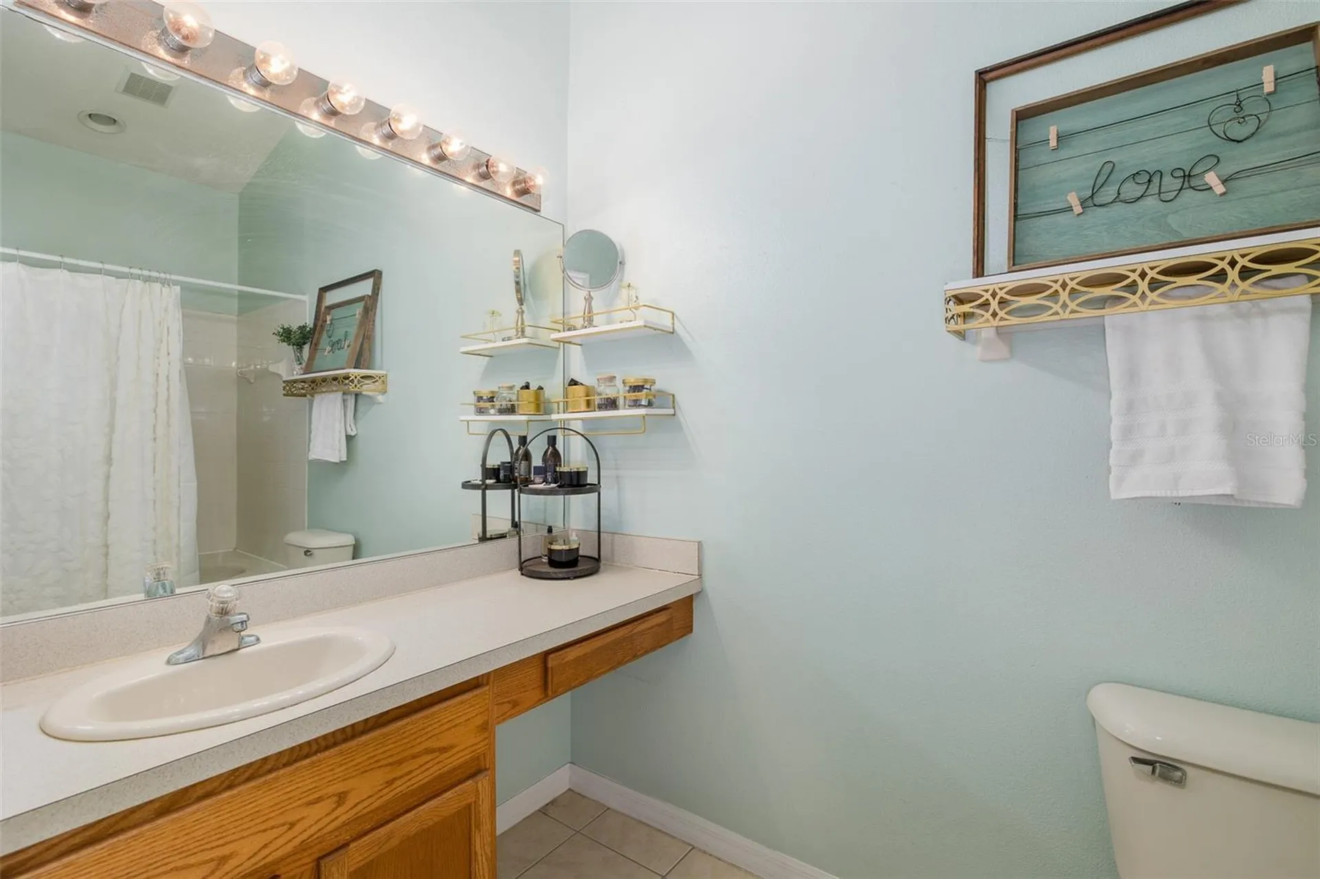 12739 Sunland Court Tampa FL 33625
