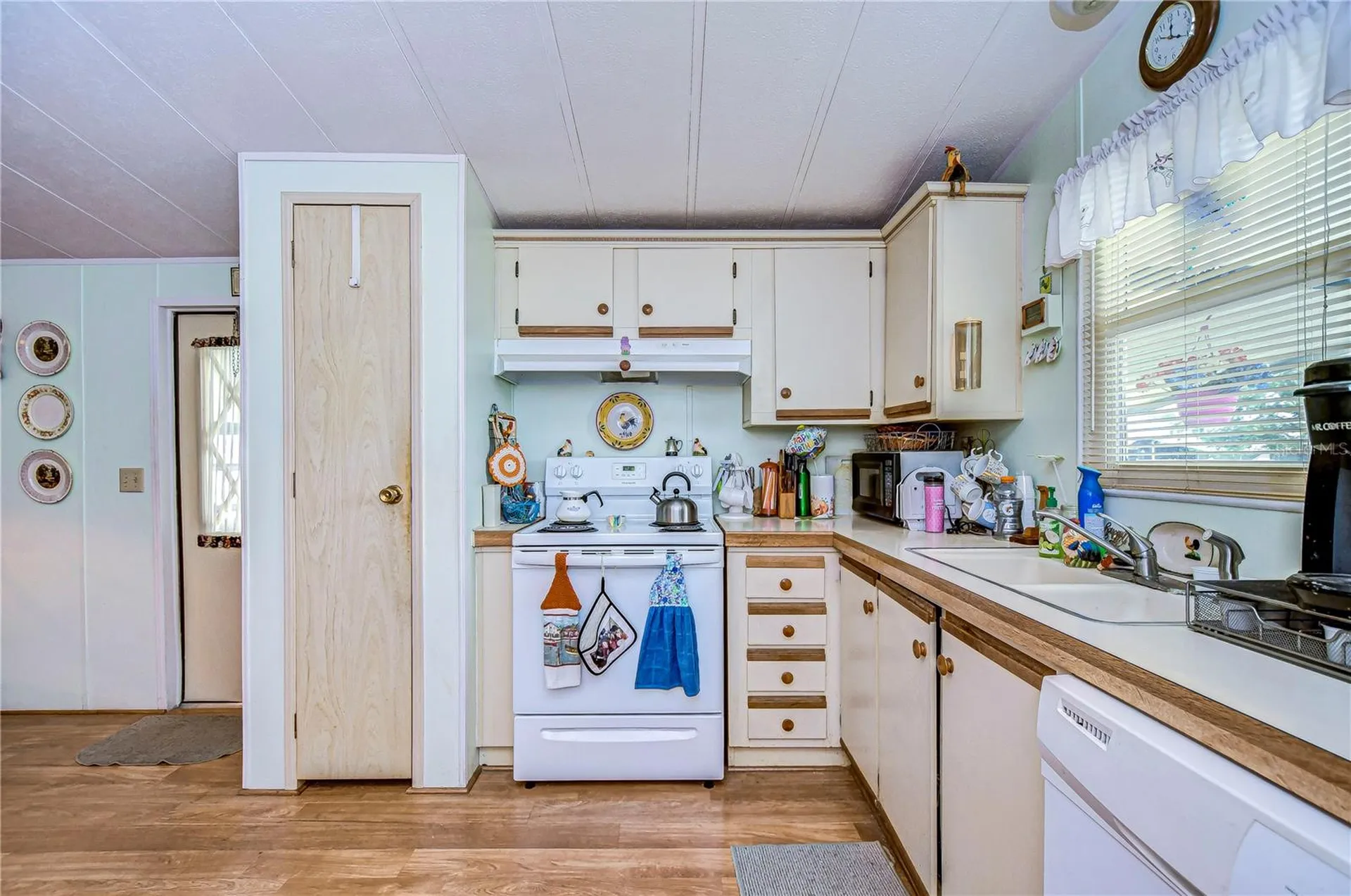 3843 Damian Drive Zephyrhills FL 33541