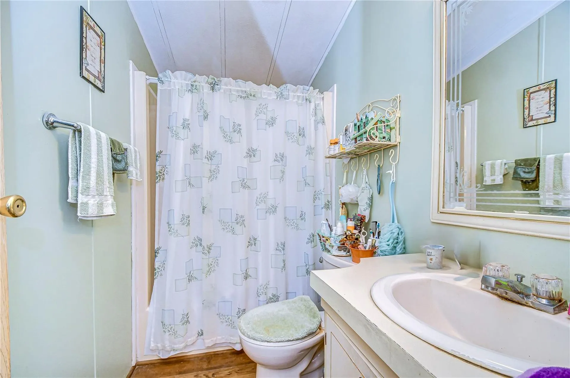 3843 Damian Drive Zephyrhills FL 33541