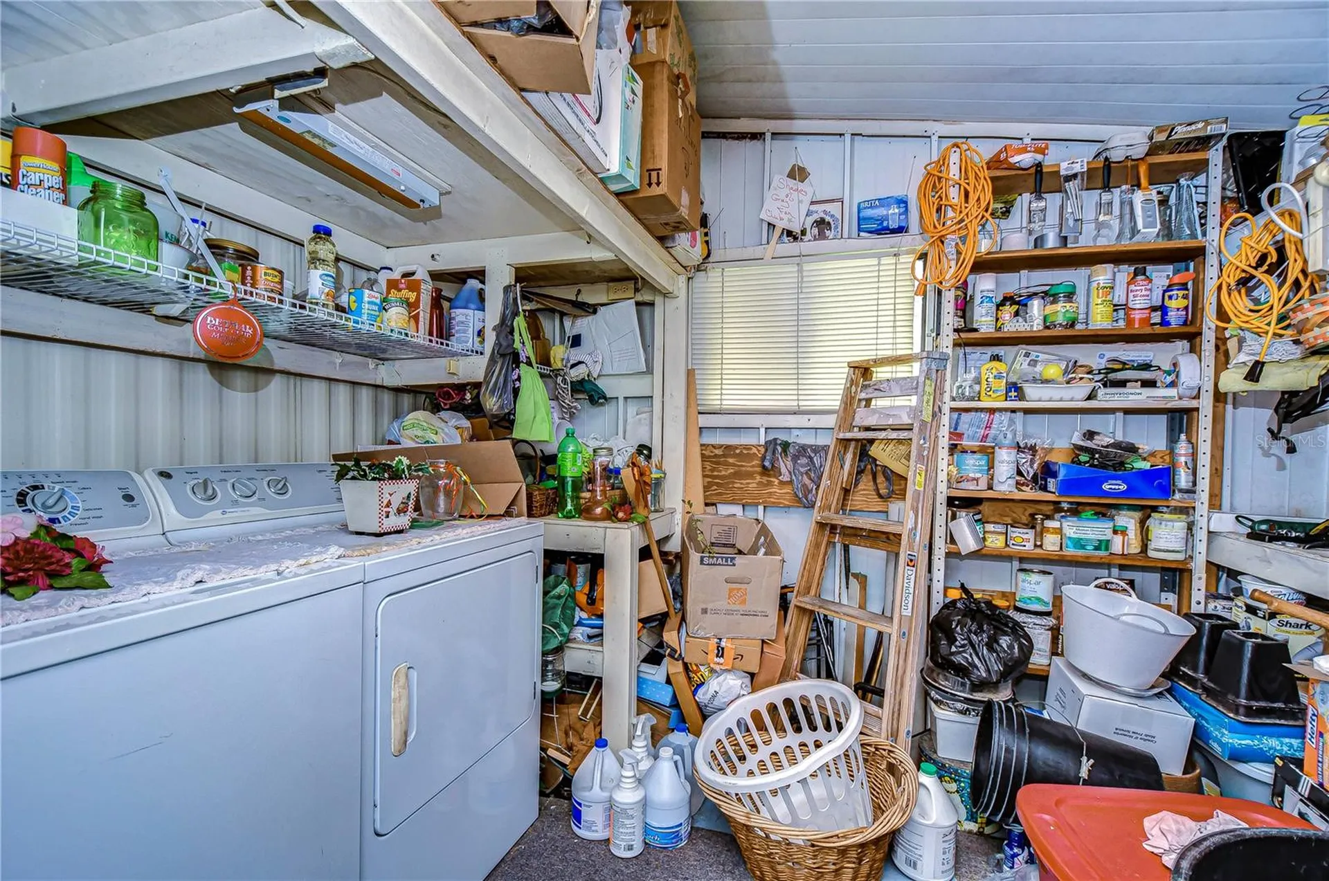 3843 Damian Drive Zephyrhills FL 33541