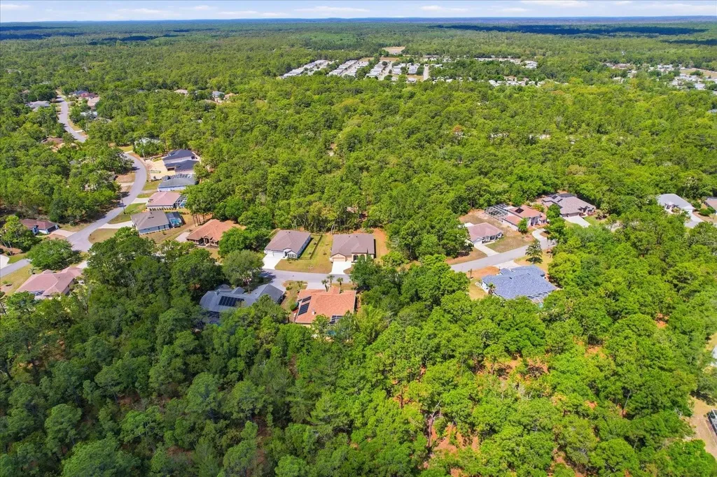 7 Bells Of Ireland Court Homosassa FL 34446