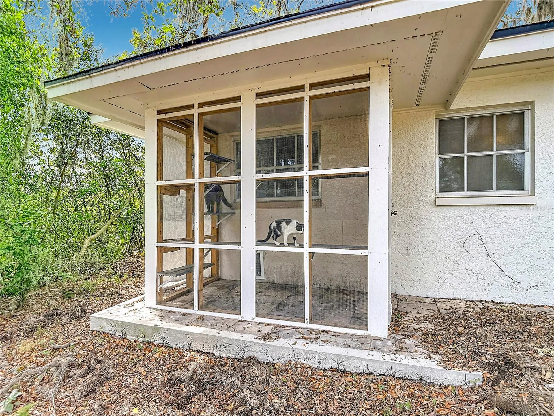 5433 Front Drive Holiday FL 34690