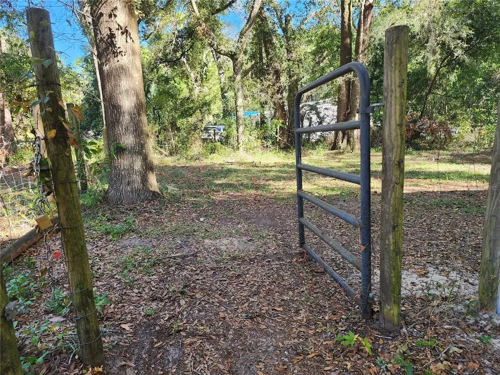 7351 NW 170th Street Trenton FL 32693