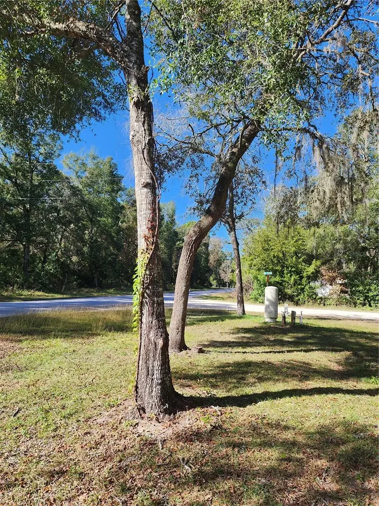 7351 NW 170th Street Trenton FL 32693