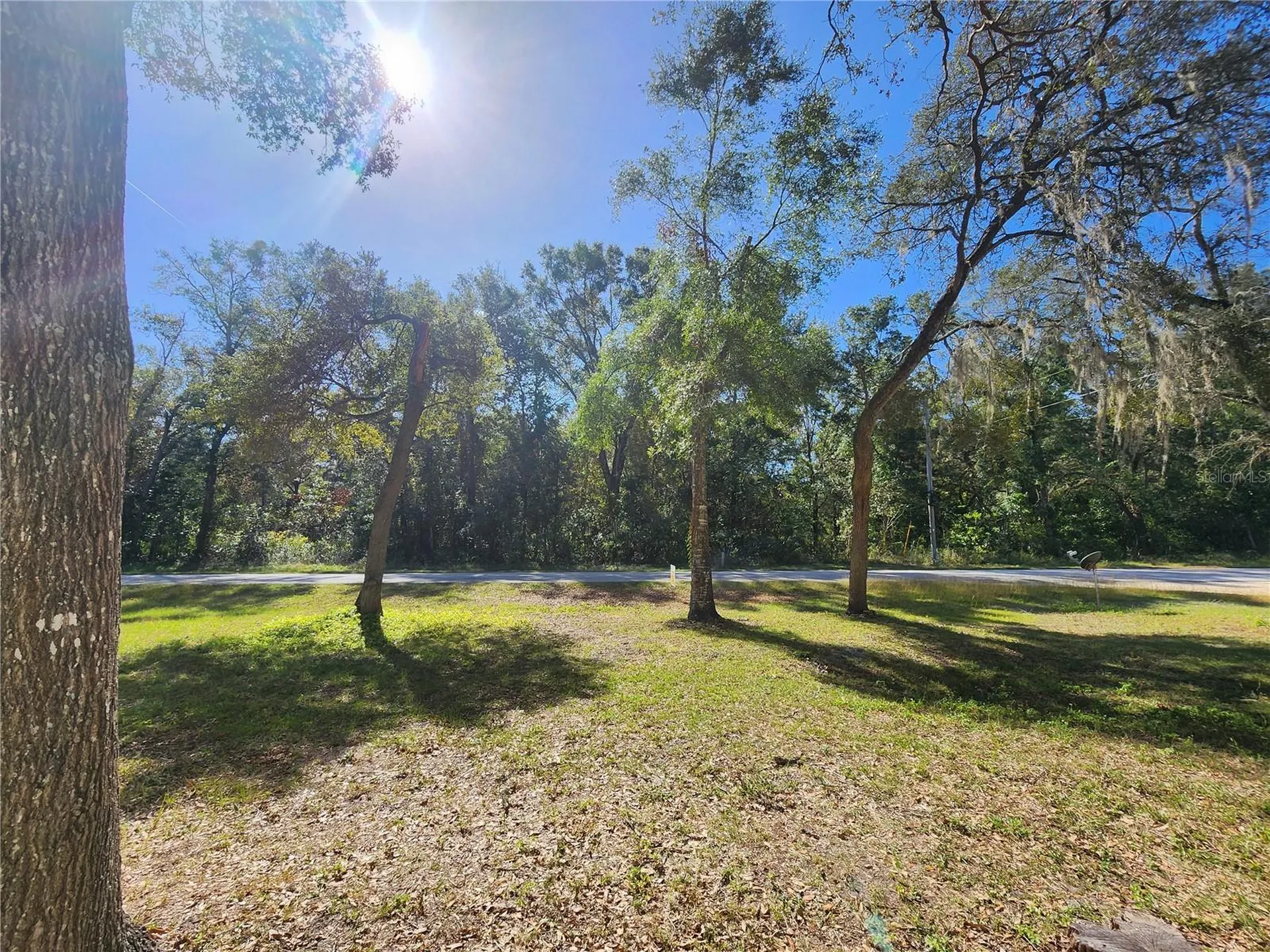 7351 NW 170th Street Trenton FL 32693