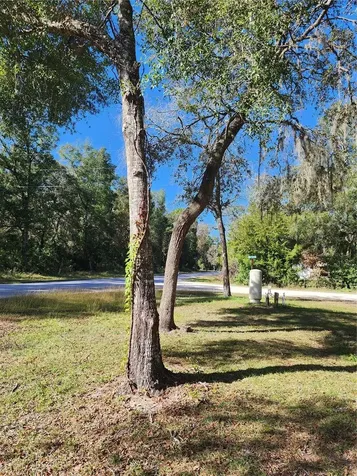 7351 NW 170th Street Trenton FL 32693