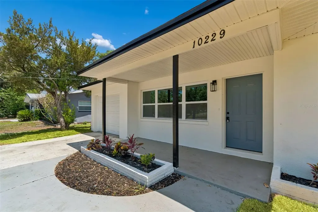 10229 N Valle Drive Tampa FL 33612