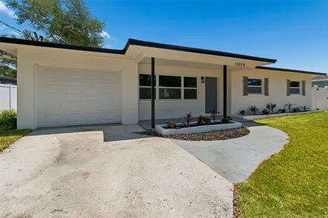 10229 N Valle Drive Tampa FL 33612