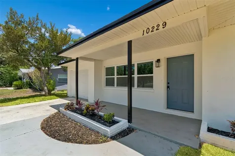 10229 N Valle Drive Tampa FL 33612