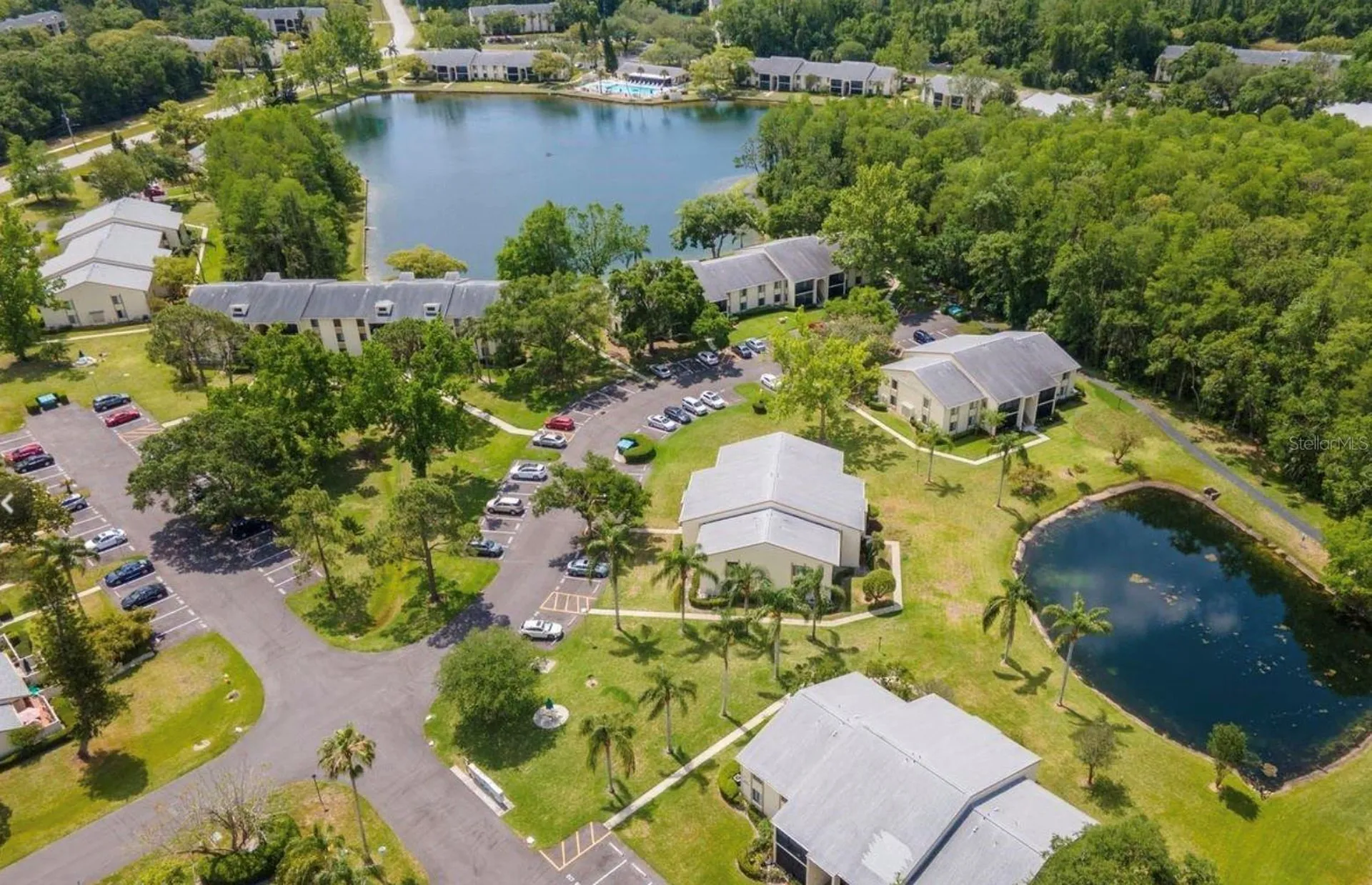 3211 Lake Pine Way E Tarpon Springs FL 34688