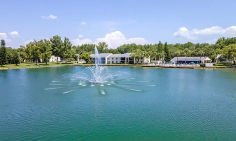 3211 Lake Pine Way E Tarpon Springs FL 34688