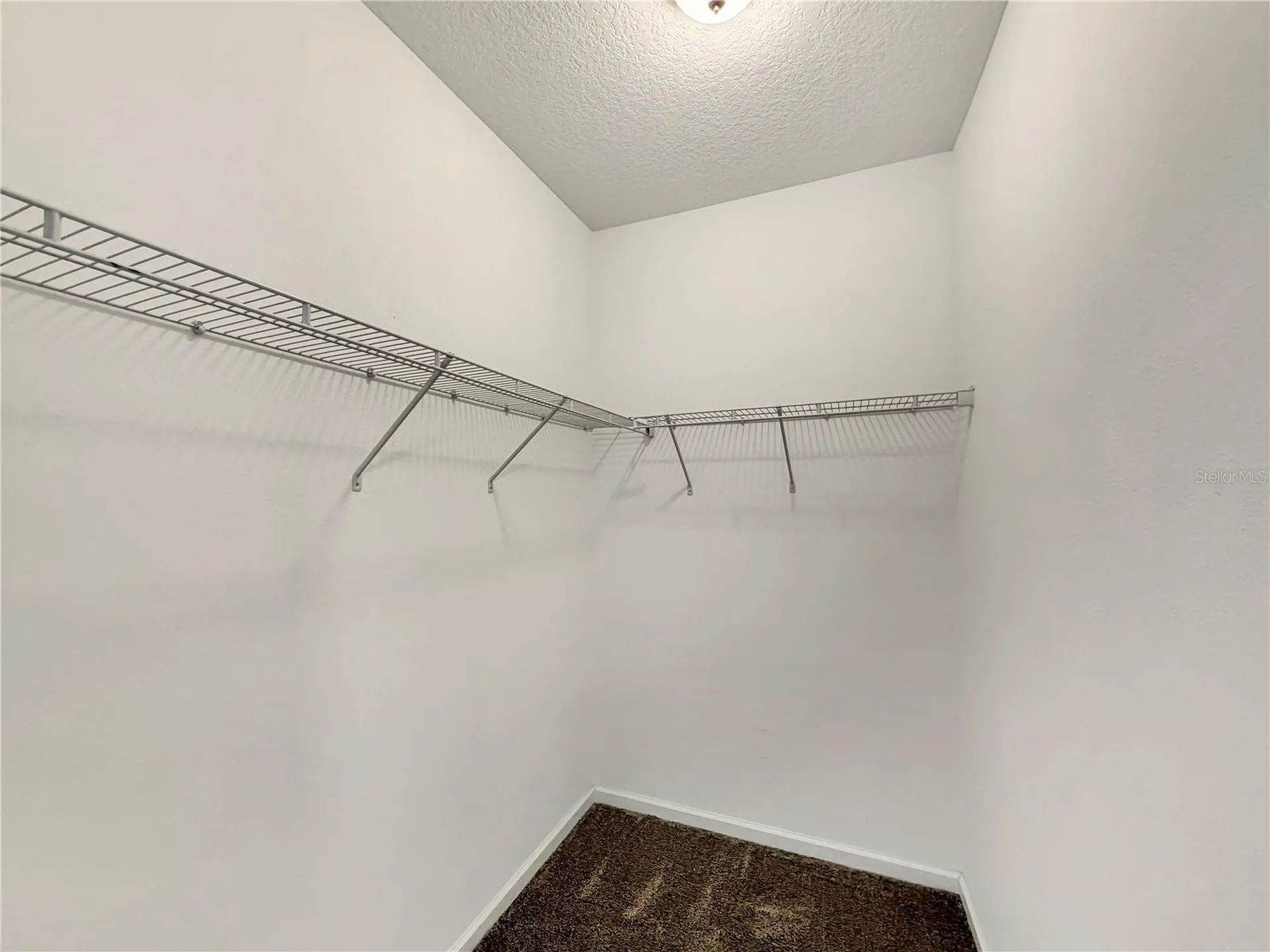 7699 Tangerine Knoll Loop Winter Garden FL 34787