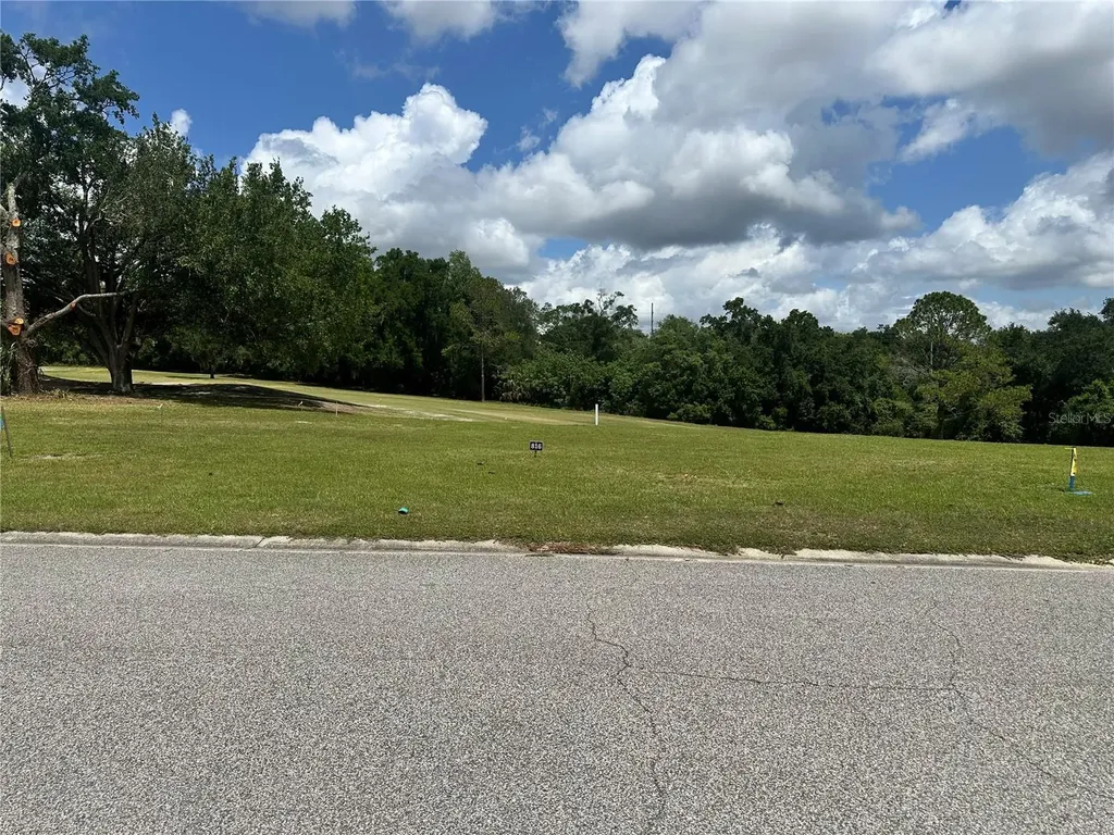 3951 Greenbluff Road Zellwood FL 32798