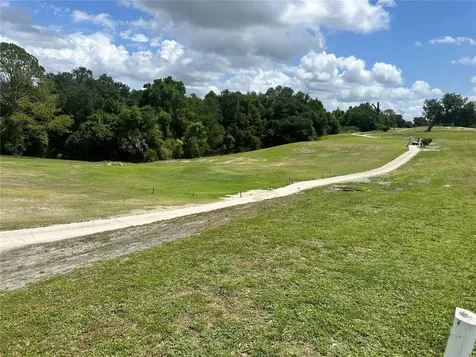 3951 Greenbluff Road Zellwood FL 32798