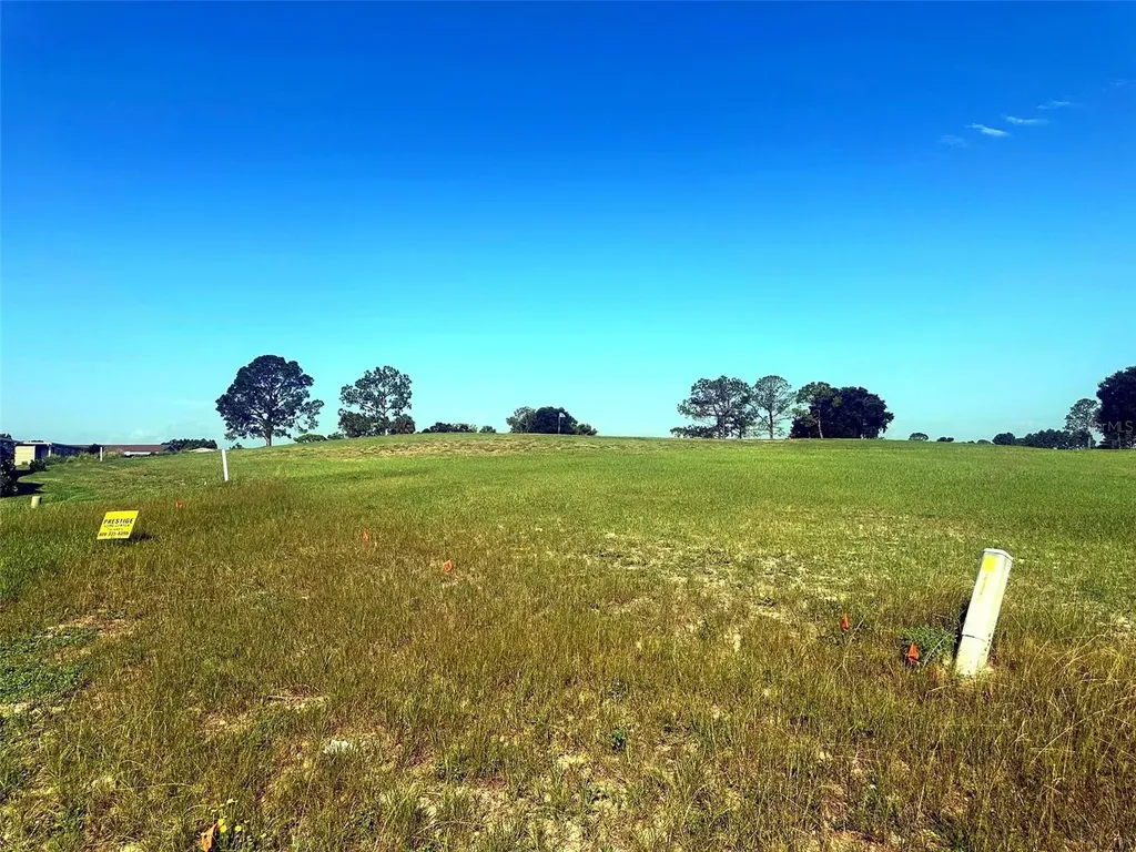 3492 Greenbluff Road Zellwood FL 32798