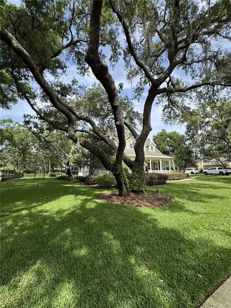 2928 Chelsea Woods Drive Valrico FL 33596