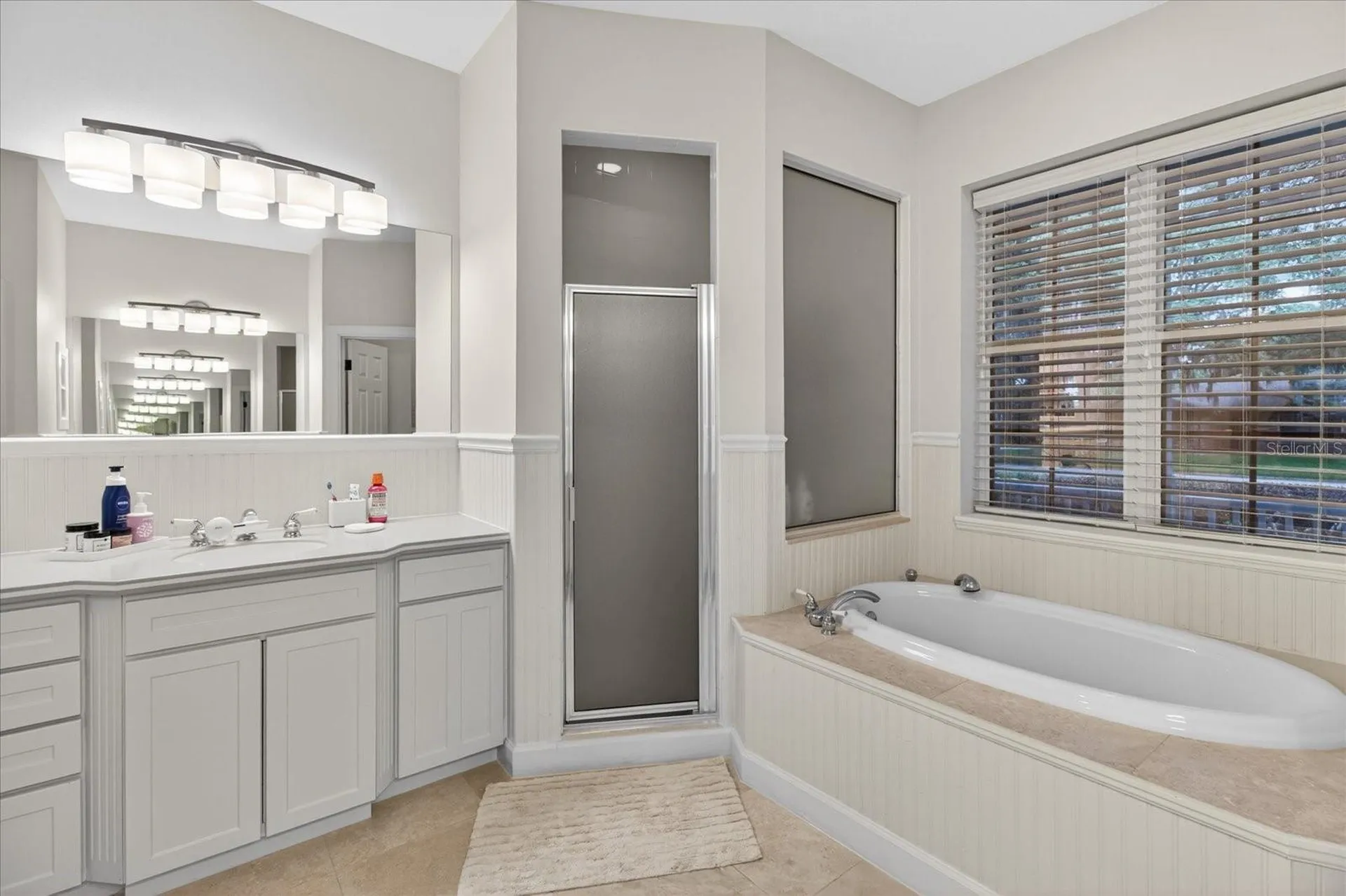 2928 Chelsea Woods Drive Valrico FL 33596