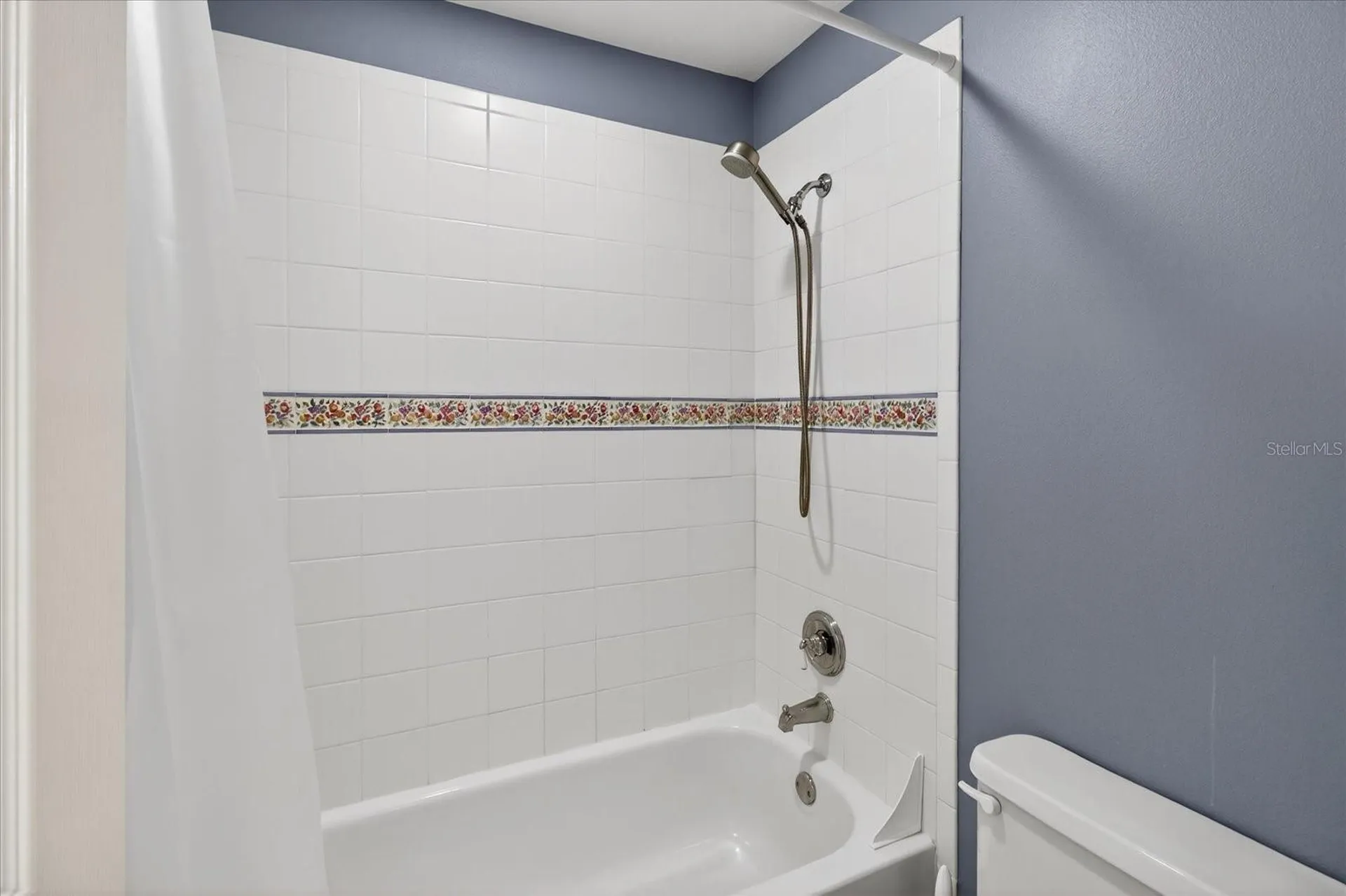2928 Chelsea Woods Drive Valrico FL 33596