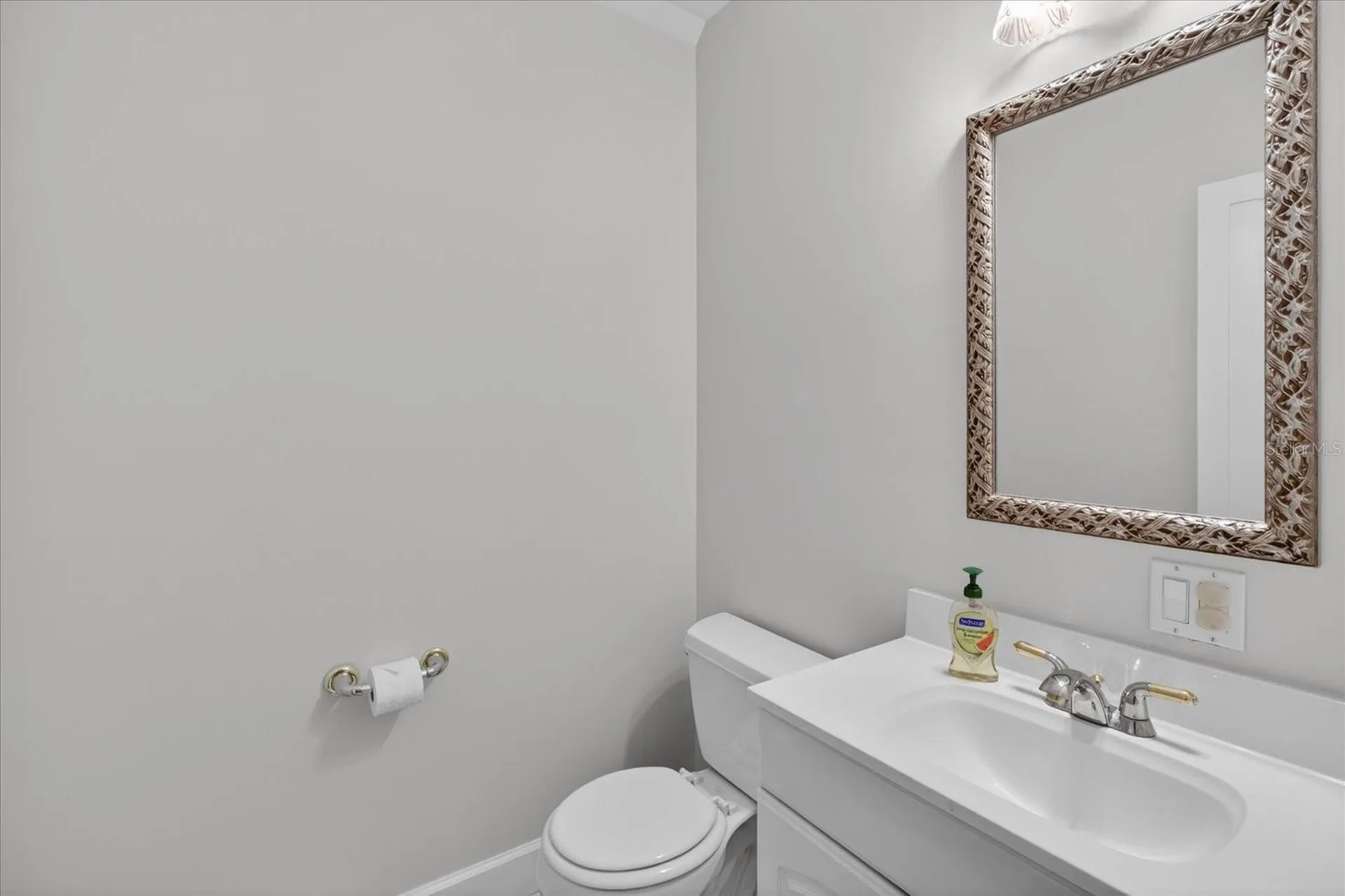 2928 Chelsea Woods Drive Valrico FL 33596