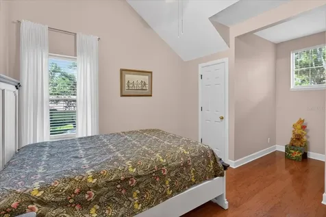 2928 Chelsea Woods Drive Valrico FL 33596