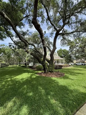 2928 Chelsea Woods Drive Valrico FL 33596