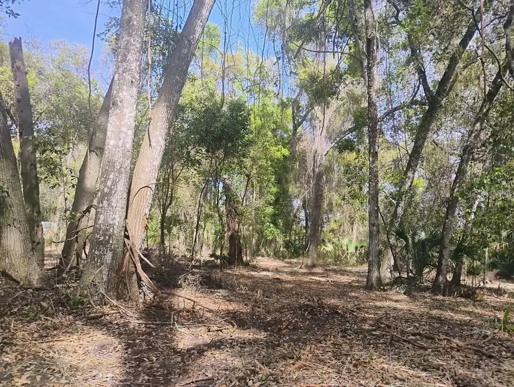 Spring Garden Ranch De Leon Springs FL 32130