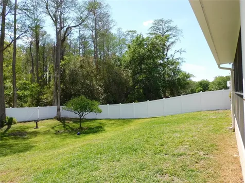 3128 Jodi Lane Palm Harbor FL 34684