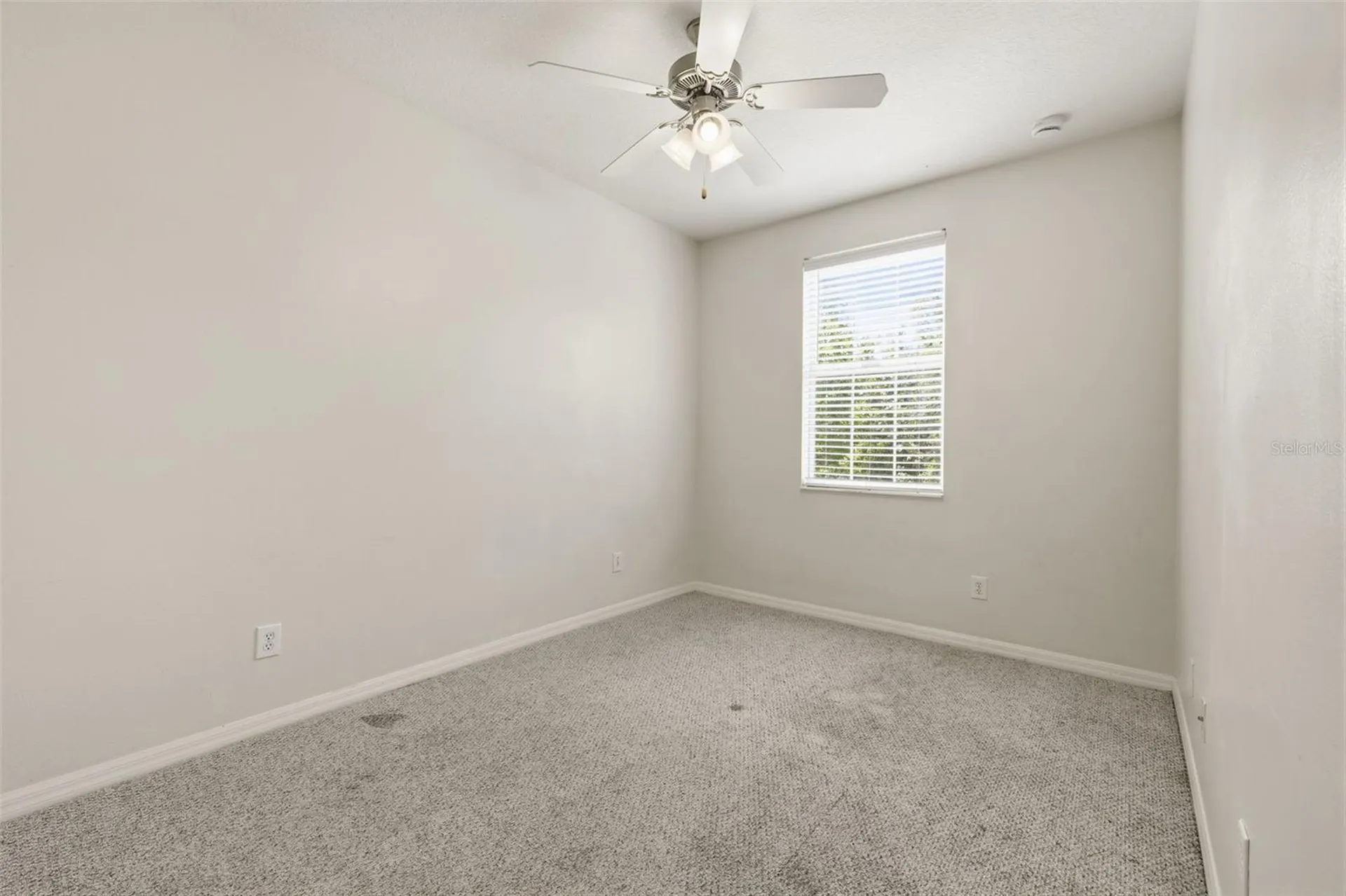 4423 Amberly Oaks Court Tampa FL 33614