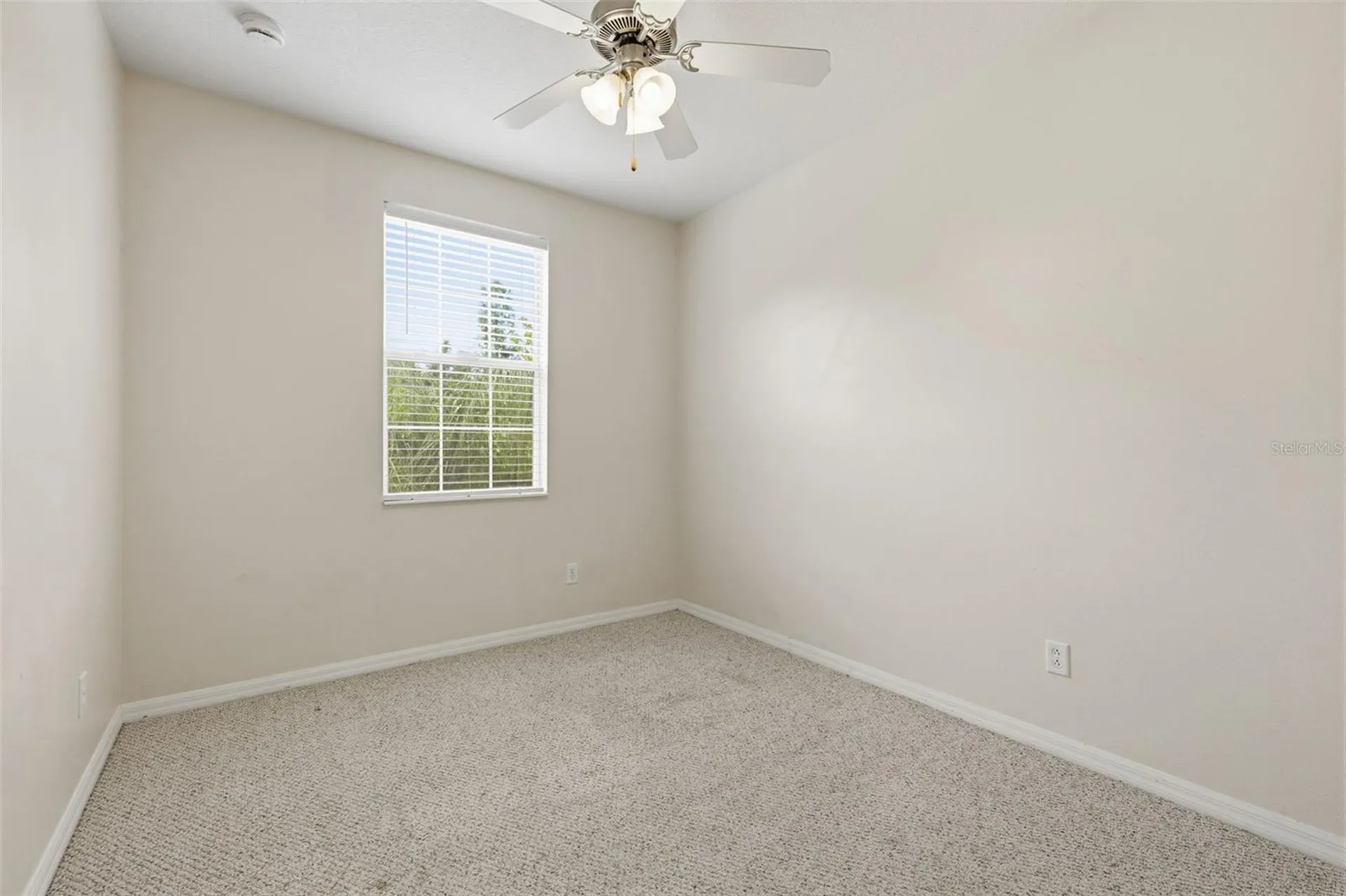 4423 Amberly Oaks Court Tampa FL 33614