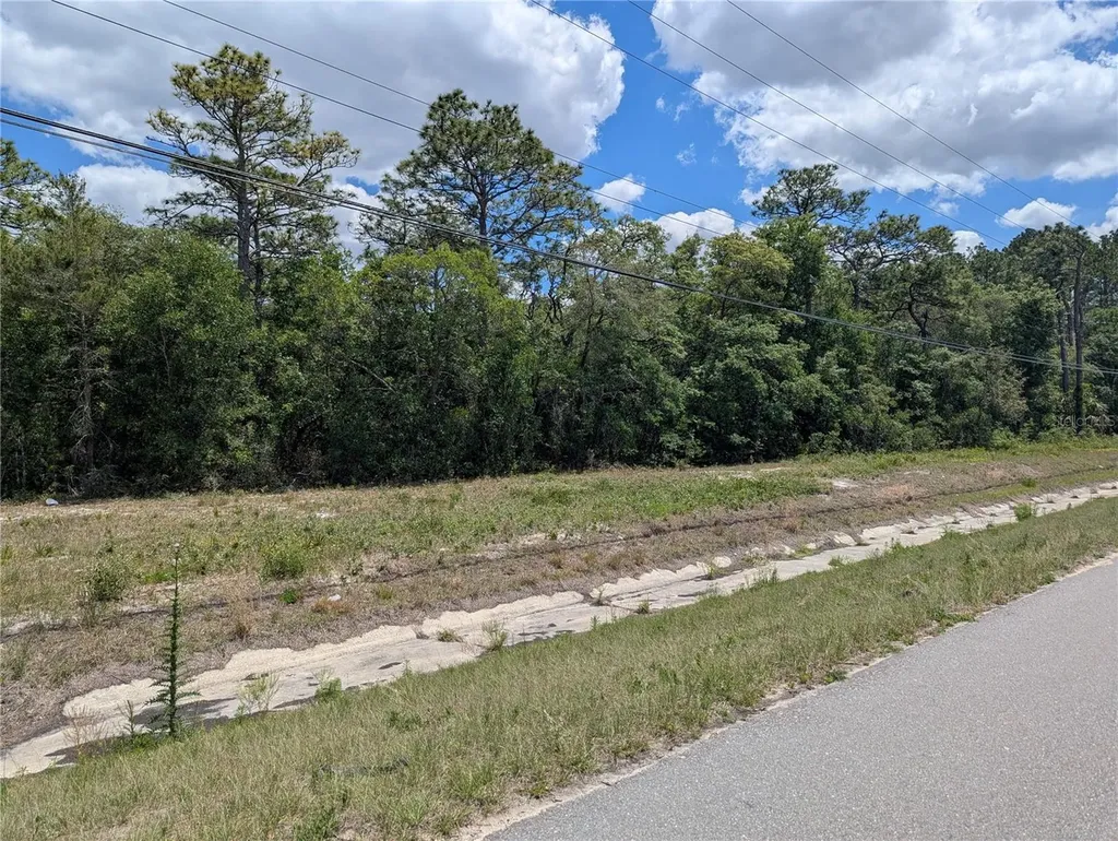 9269 S Suncoast Boulevard Homosassa FL 34446