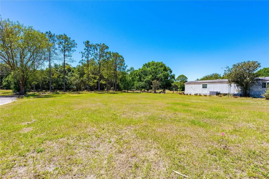 Chris Drive Wesley Chapel FL 33543