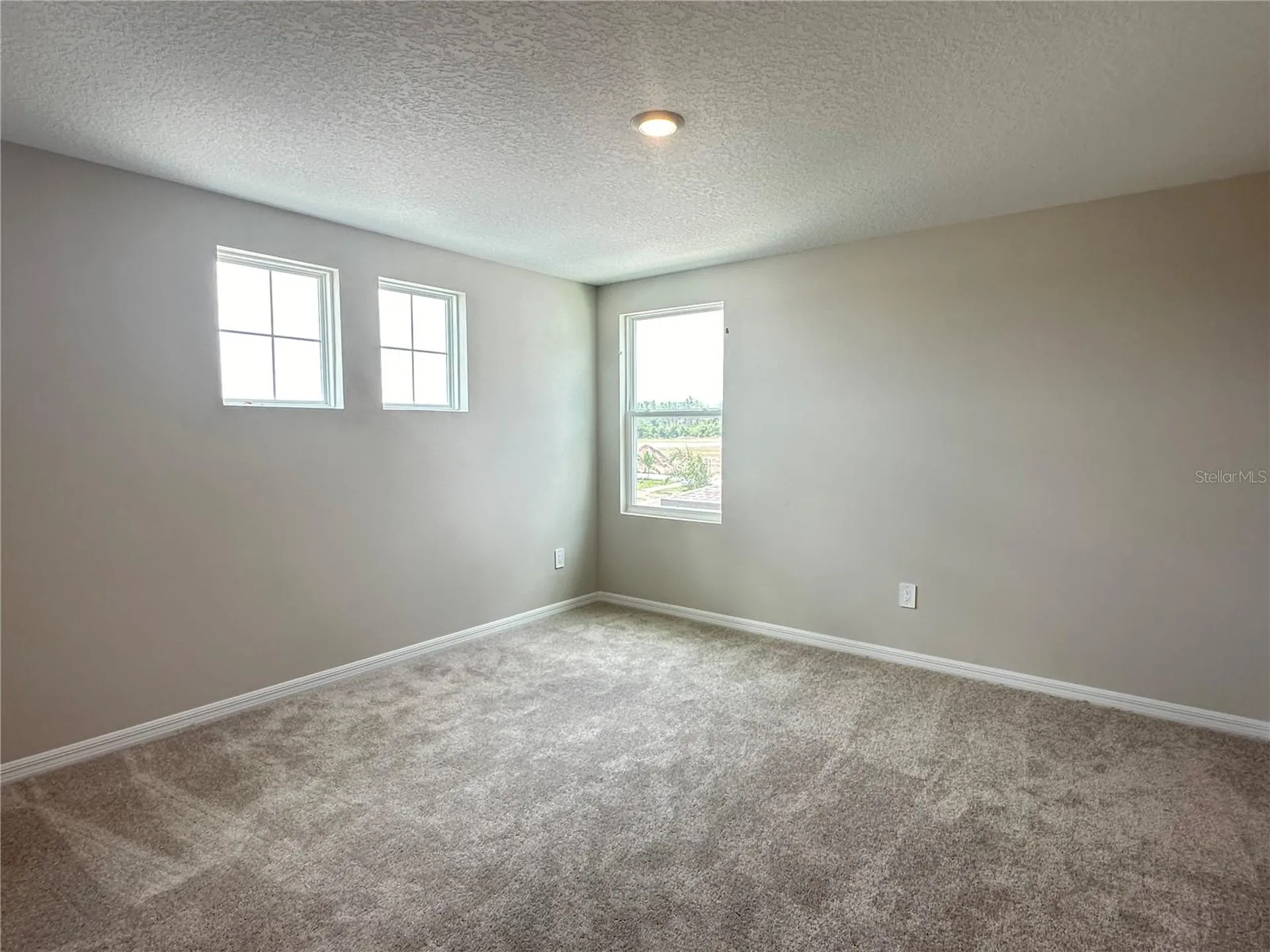 5948 Fresh Flora Drive Wimauma FL 33598