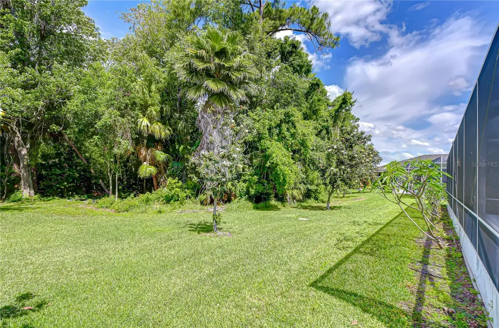 9815 Gingerwood Drive Tampa FL 33626