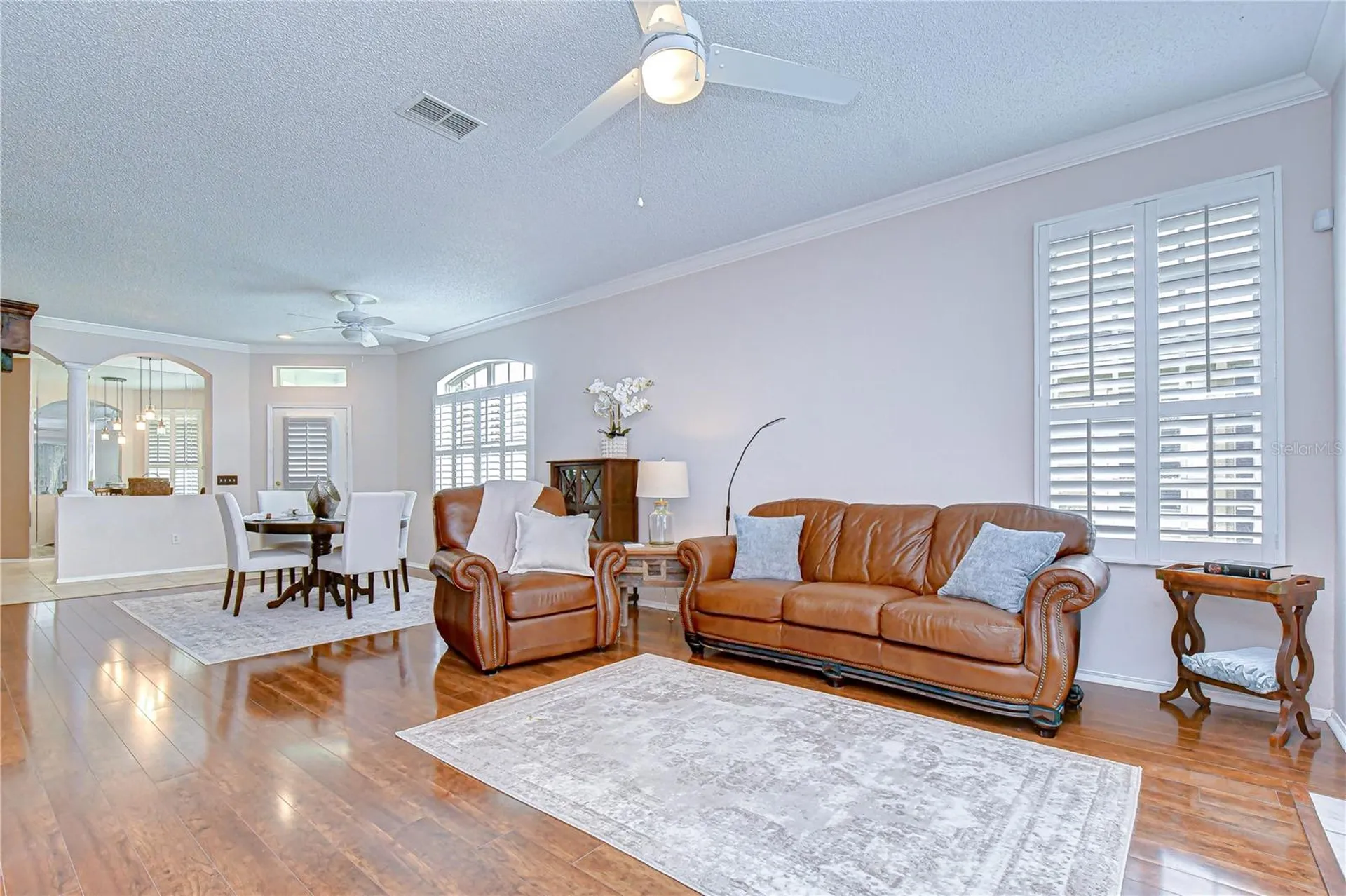 9815 Gingerwood Drive Tampa FL 33626