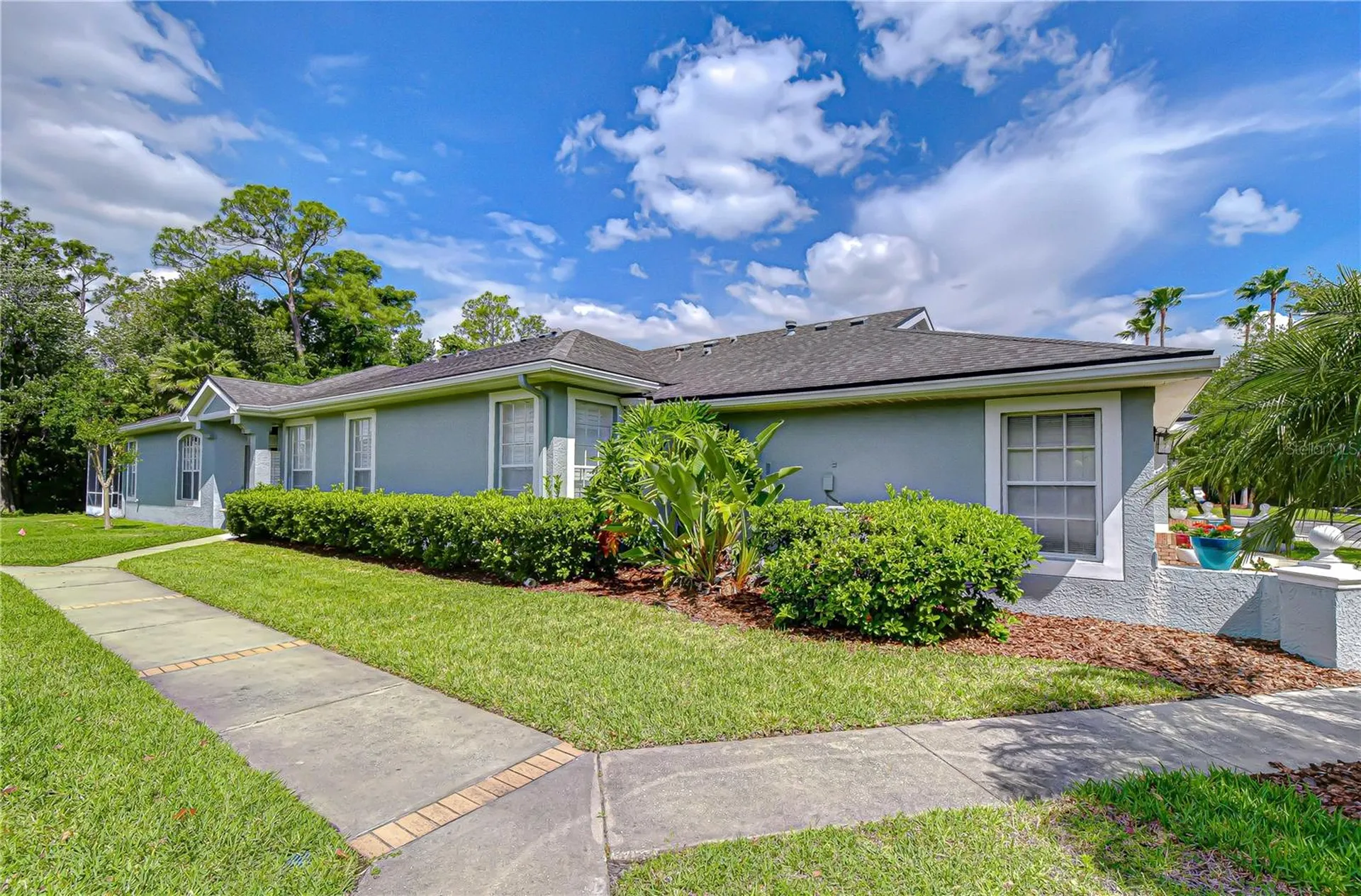 9815 Gingerwood Drive Tampa FL 33626