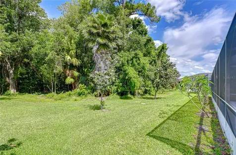 9815 Gingerwood Drive Tampa FL 33626