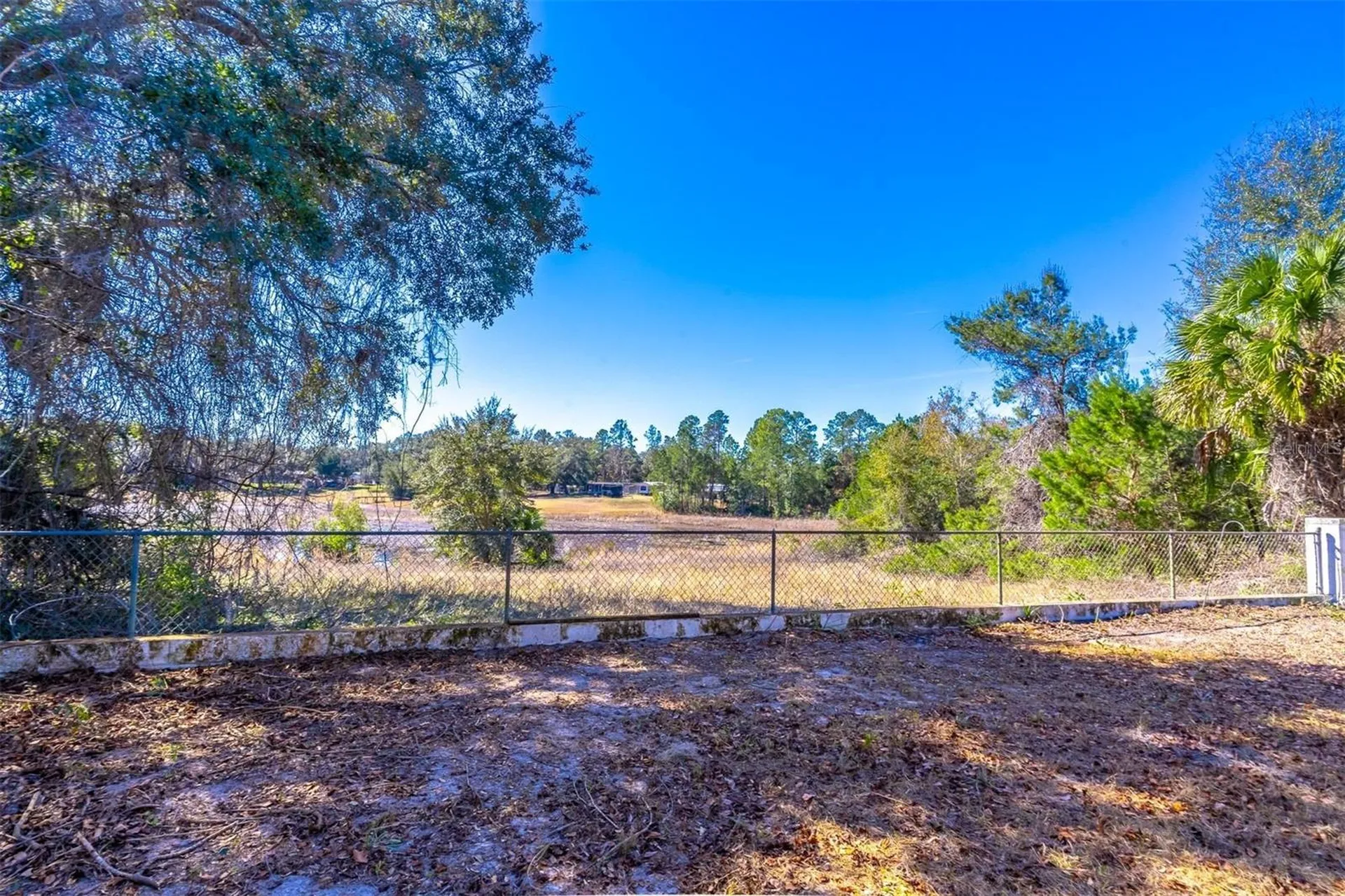 16880 SE 63rd Lane Ocklawaha FL 32179