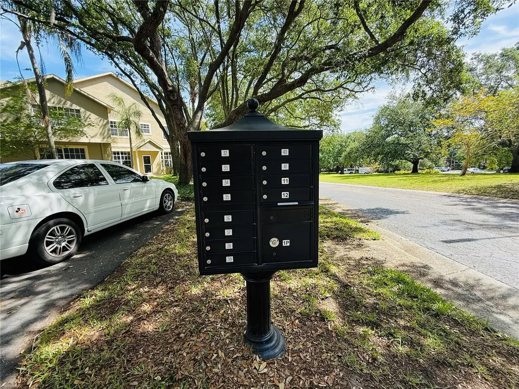 2843 Thaxton Drive Palm Harbor FL 34684