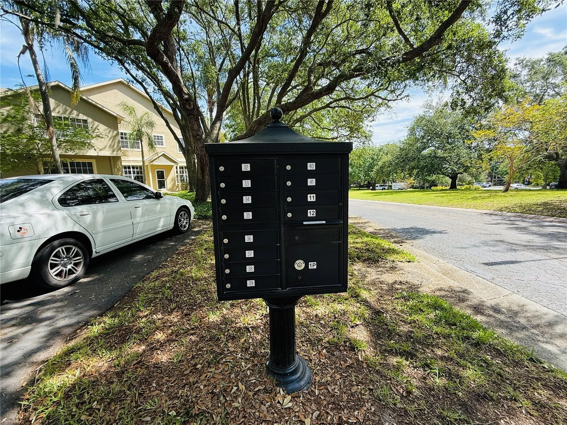 2843 Thaxton Drive Palm Harbor FL 34684