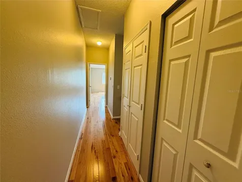 2843 Thaxton Drive Palm Harbor FL 34684