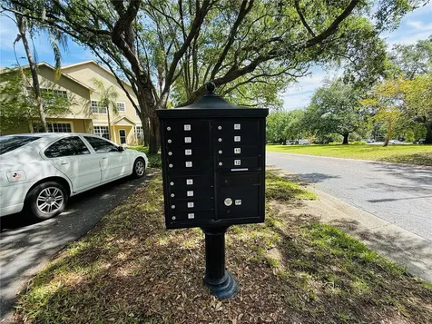 2843 Thaxton Drive Palm Harbor FL 34684